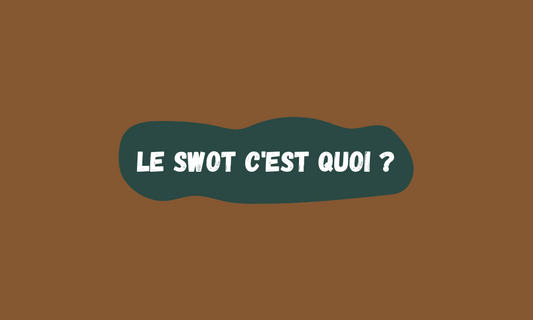 Le SWOT (Framework)