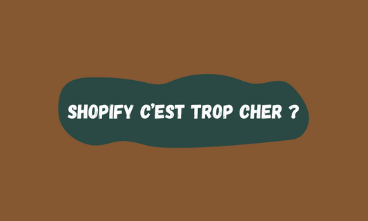 Shopify est trop cher ? Voici pourquoi tu te trompes.